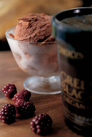 Green & Black's Chocolate Ice Cream