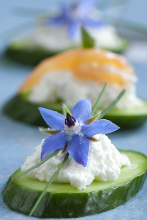 Edible Flowers