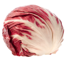 Radicchio