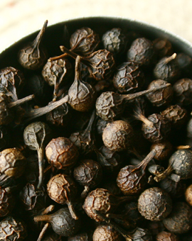 Cubeb Berries