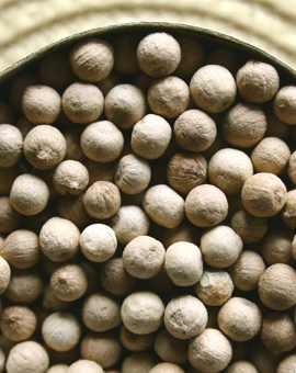 Sarawak Peppercorns