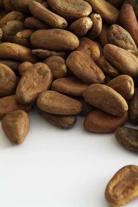 Cacao Beans