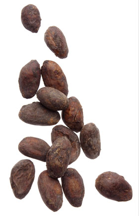Criollo Cacao Beans